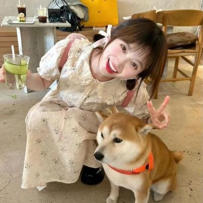 复合与出走
